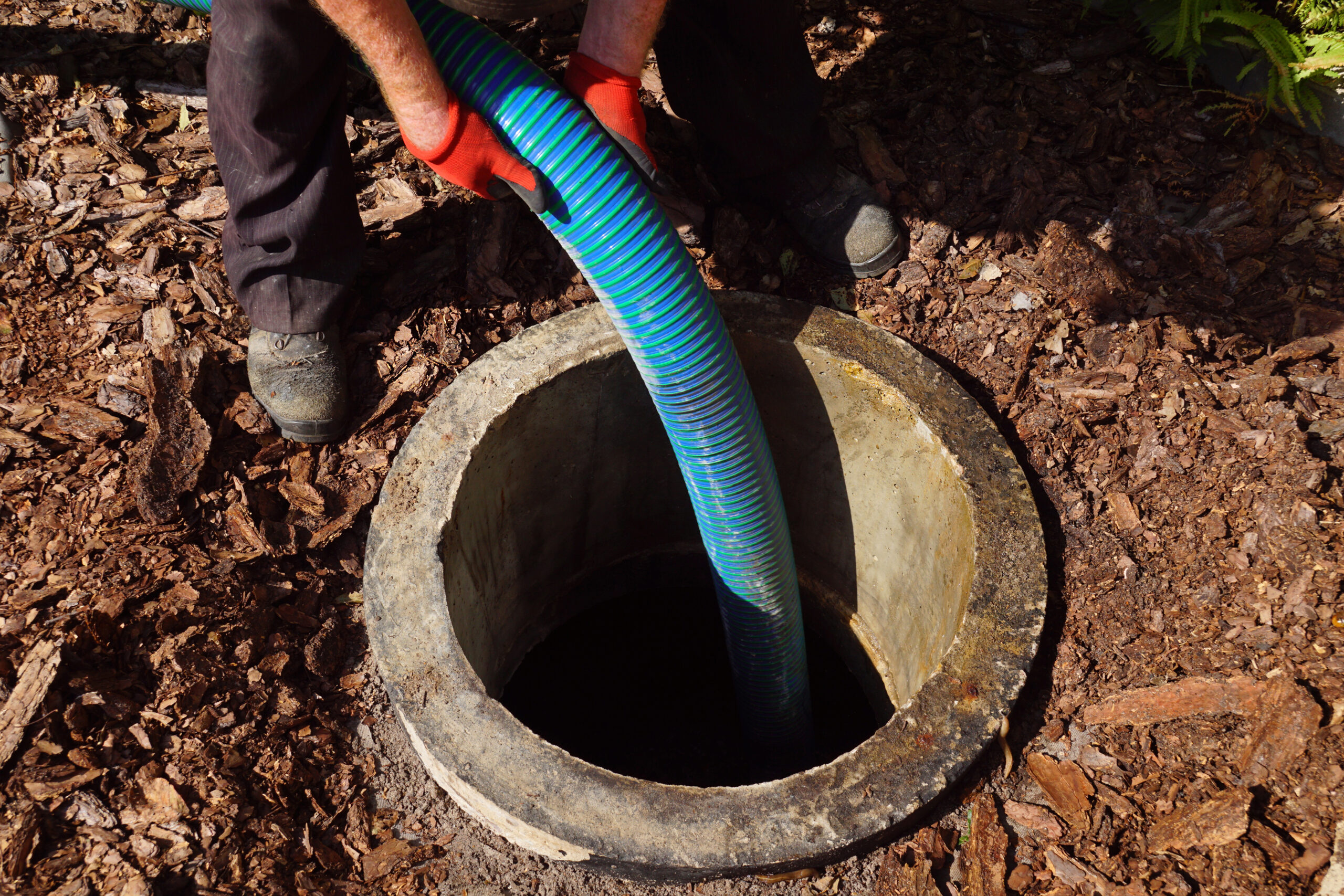 Pipe in the drainage pit. Pumping out sewage from a septic tank.